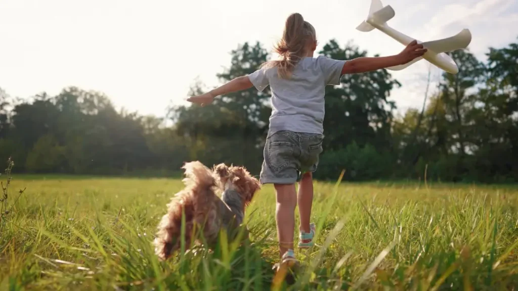 Coffee Wood Dog Toys