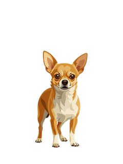 XS Dog