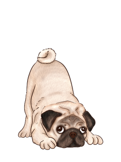 M Dog