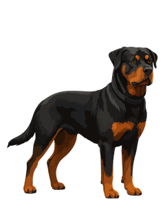 XL Dog