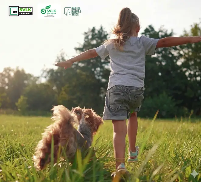 natura dog chew argia natura dog chew argia